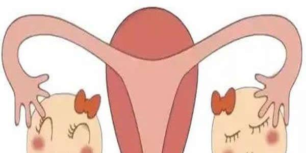 卵巢功能好就能决定卵子质量吗-保养卵巢是关键