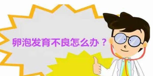 卵泡发育不良-六个方法教你在日常生活中怎样调理