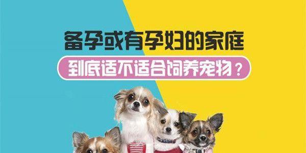 怀孕期间还可以养宠物吗 ？孕期养宠物注意事项