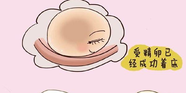 受精卵着床的6个感觉-真的很奇妙
