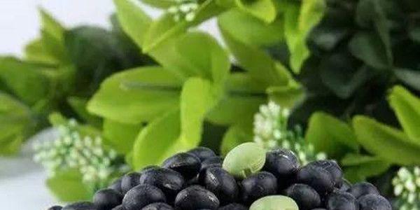 盘点—那些生活中对怀孕有好处的食物