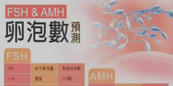 AMH值低会影响怀孕吗？看完你就明白了