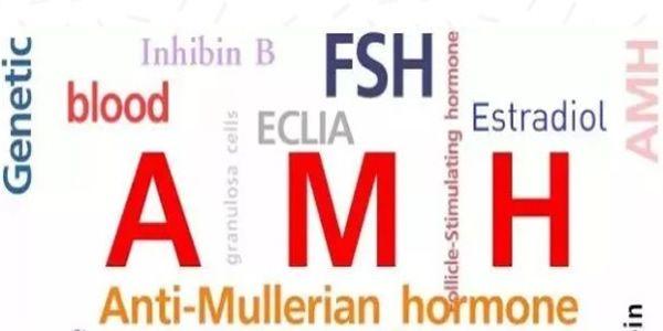 好消息！amh值0.19也是有希望成功做试管婴儿了