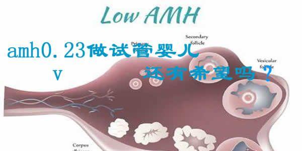 好消息！amh值0.23也是有希望成功做试管婴儿的了