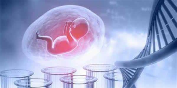 用一篇文章告诉你-为什么高龄女性最好选择做三代试管