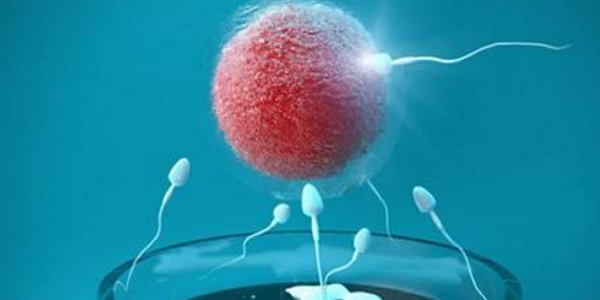 科普文-为您解答试管婴儿过程中三大常见疑问