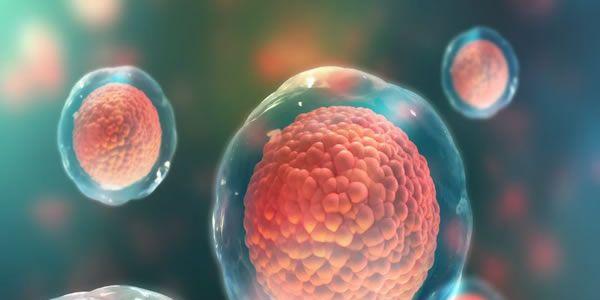 盘点有关做试管婴儿你最关心的10个常见的问题及解答-收藏备用