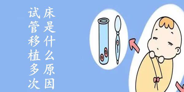 试管婴儿移植多次反复不着床？这6个因素早了解早避免！