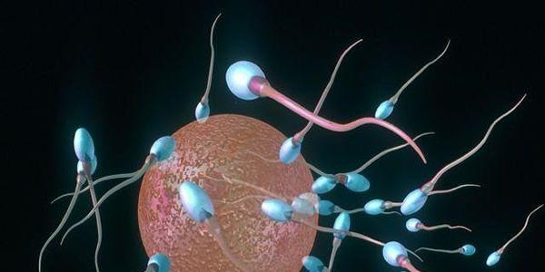 盘点试管婴儿重要的六个步骤，看完就不再迷茫