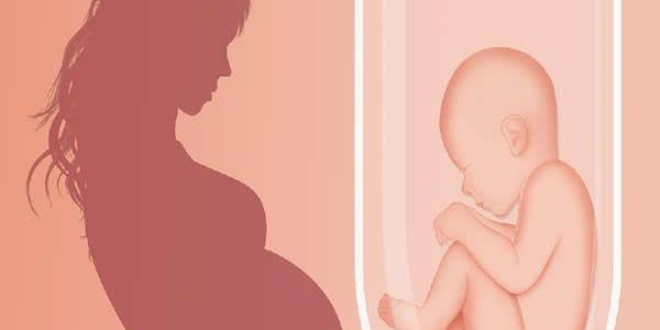 试管婴儿移植后生活和饮食上应该注意些什么，建议收藏