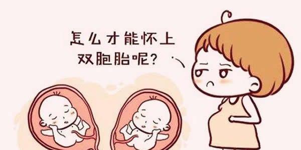 试管婴儿双胞胎和单胎过程是一样的吗