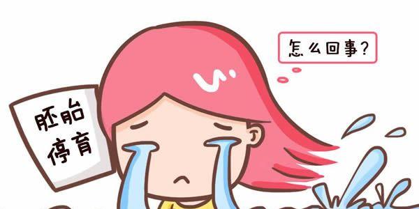 盘点导致胚胎停育的3个常见原因及5个预防措施