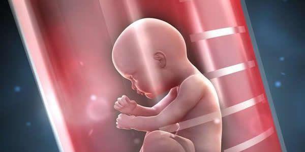 女人做了试管人就废了？专家辟谣来了