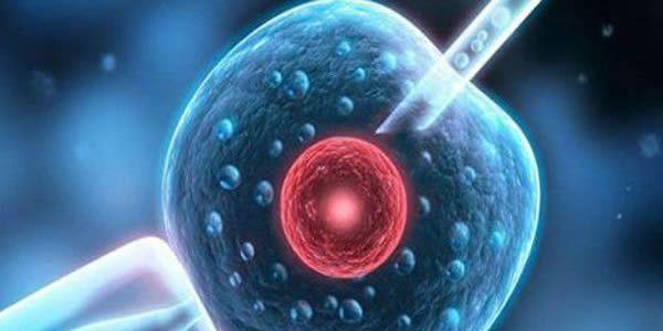 人工授精和试管婴儿之间到底有什么区别呢，又该如何选择