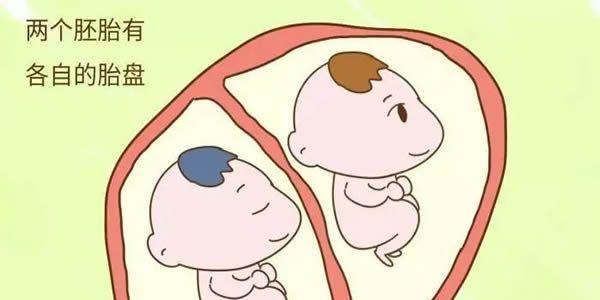 三胎时代试管助孕可以要双胞胎或龙凤胎吗？专家：不建议