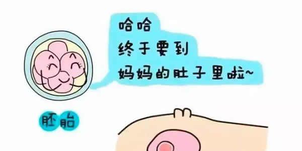 这5个情况都会使试管婴儿胚胎移植失败-原因分析