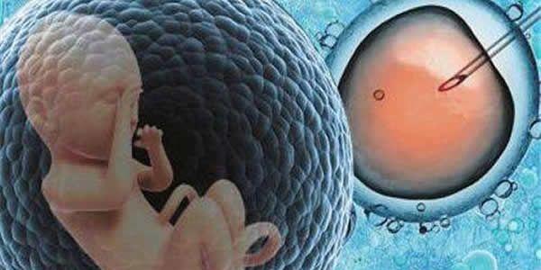 周口市试管婴儿医院哪家好？周口市试管婴儿医院排名