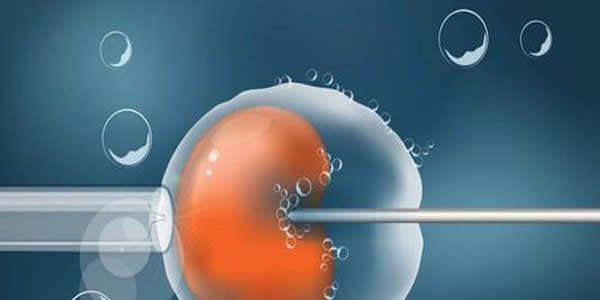 试管婴儿取卵数比b超数少的5个主要原因-专家解读