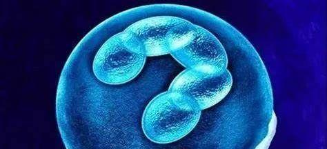 专家口述试管婴儿移植后的9大疑问-移植失败前兆有什么表现