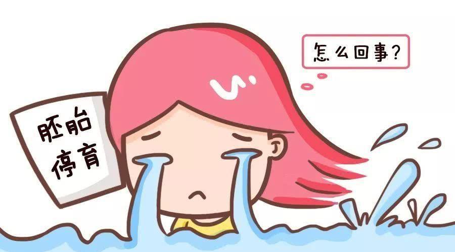 试管婴儿为什么会胎停？专家解释有这4种可能