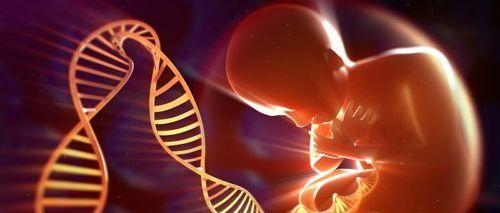 第三代试管婴儿适合什么人群？这6类人没做过一定不要放弃