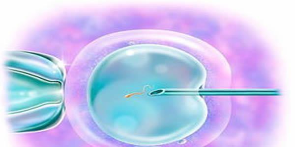 34岁7次试管没成功的原因是什么？这4个因素你必须得留意