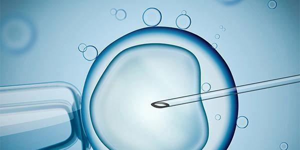 哪些女性做试管婴儿的成功率很高？有这4种情况的成功率高