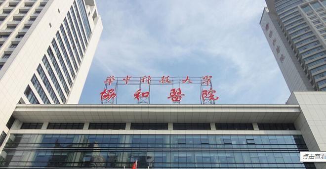 湖北省试管婴儿排名最好成功率最高的8家医院介绍-截图收藏