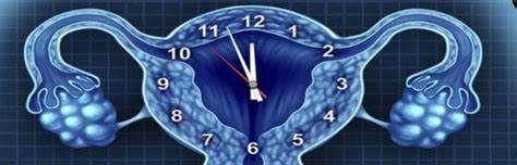 拒三做二让你远离卵巢功能衰退！预防卵巢功能衰退看这里就够了！