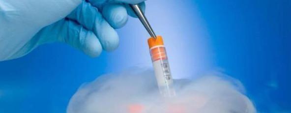 试管婴儿胚胎冷冻最长可以冻多长时间？理论20年实际5到10年