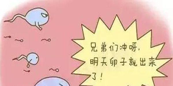 女性排卵期的5个科学算法和6个症状表现