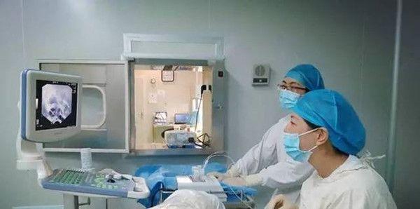 怀孕生子成功率非常高是真的吗？专家说是真的