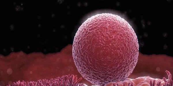 中国国内做试管婴儿试管婴儿合法吗-法律规定是合法的！