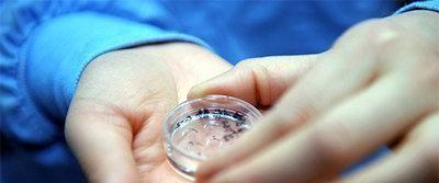 怀孕生子的定义，利弊,后患,危害是否合法等知识点讲解