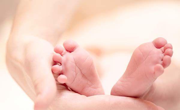 怀孕生子介绍-名词解读