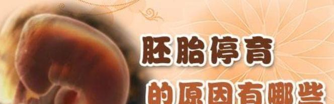 试管婴儿会胎停吗？几周容易胎停及胎停育的症状