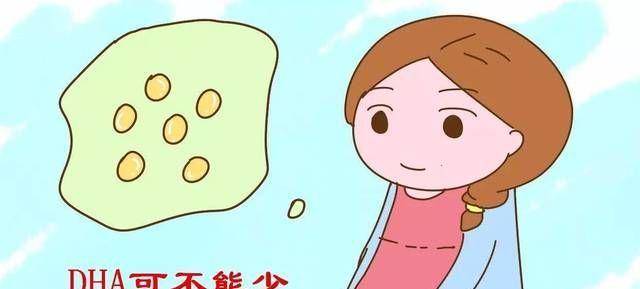 医生不建议孕妇吃dha是造谣