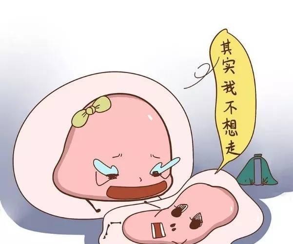 卵泡不成熟，都是因为以下几点原因