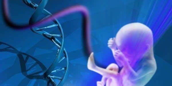 专家辟谣：第三代试管婴儿是最好的