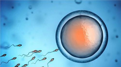试管婴儿机构介绍-名词解读