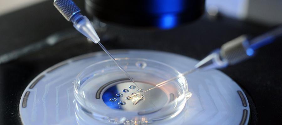 试管婴儿成功率多少？移植一颗胚胎80%怀孕成功率