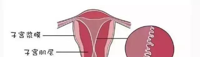 子宮內膜受容性检查新技术