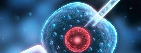 2023年国内允许单身未婚人士做试管婴儿吗？