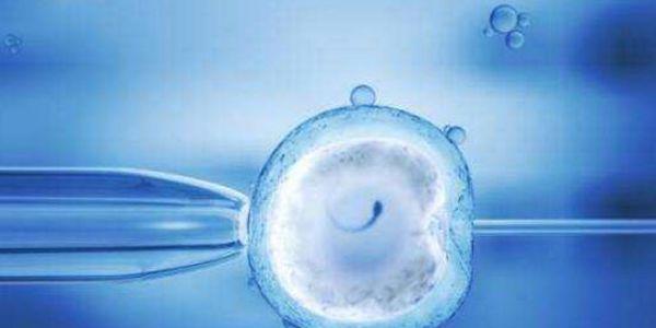 在乌克兰做试管婴儿需要多少钱，附彼奥诊所基本信息！