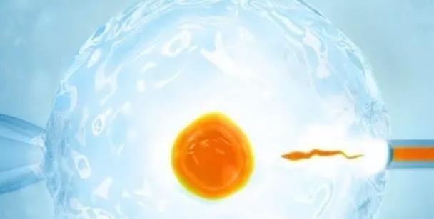 邢台第三代试管生男孩费用参考，还不清楚的看过来！