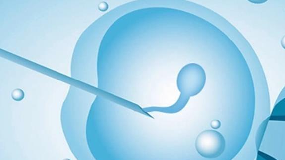 自贡三代试管生男孩收费标准一览，4个阶段花销均不同！