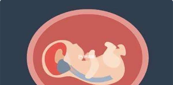 疤痕子宫患者能否做试管婴儿，附疤痕子宫相关解析！