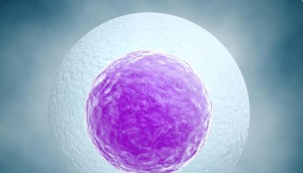 2023西宁正规辅助生殖医院推荐，能做试管的仅这两家！