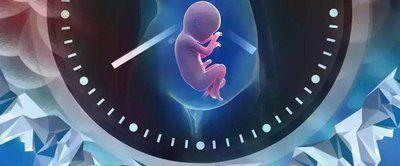 东莞6家试管医院哪里做成功率较高，选人民医院错不了！