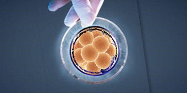 浙江试管婴儿好医院推荐，附2023助孕费用、成功率排名榜！